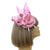 Pastel Pink Hair Fascinator with Sinamay Flower & Feather Quill-Fascinators Direct
