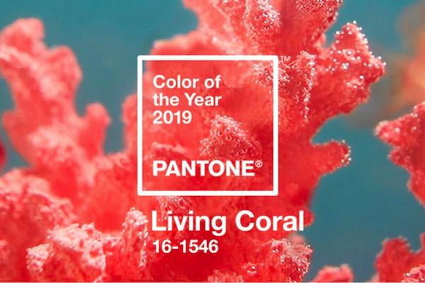 Pantone’s Colour of the Year for 2019: Living Coral-Fascinators Direct