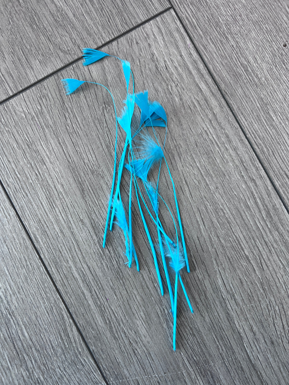 Turquoise Blue Long Triangle Goose Feathers  x10