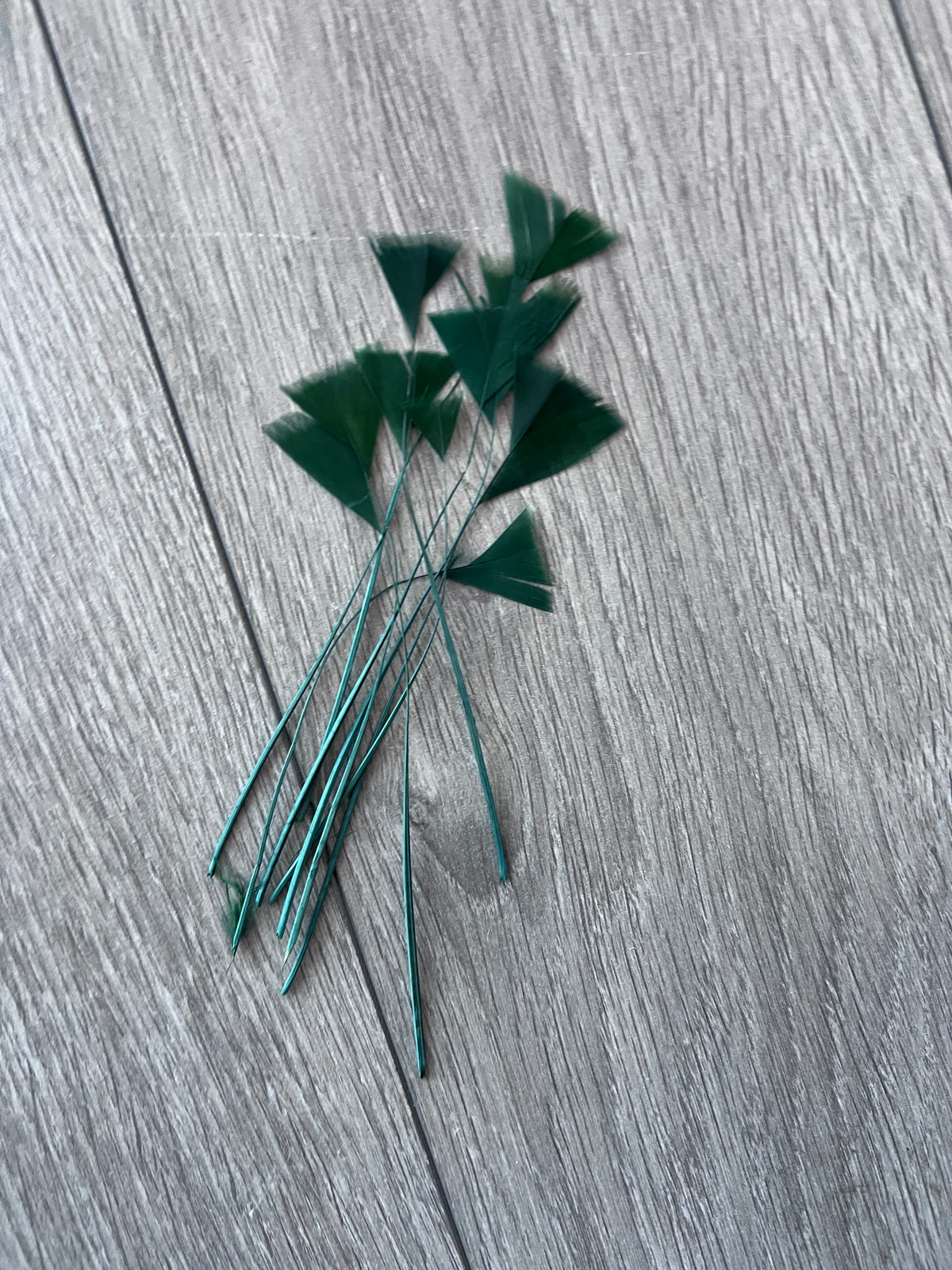 Bottle Green Long Triangle Goose Feathers  x10