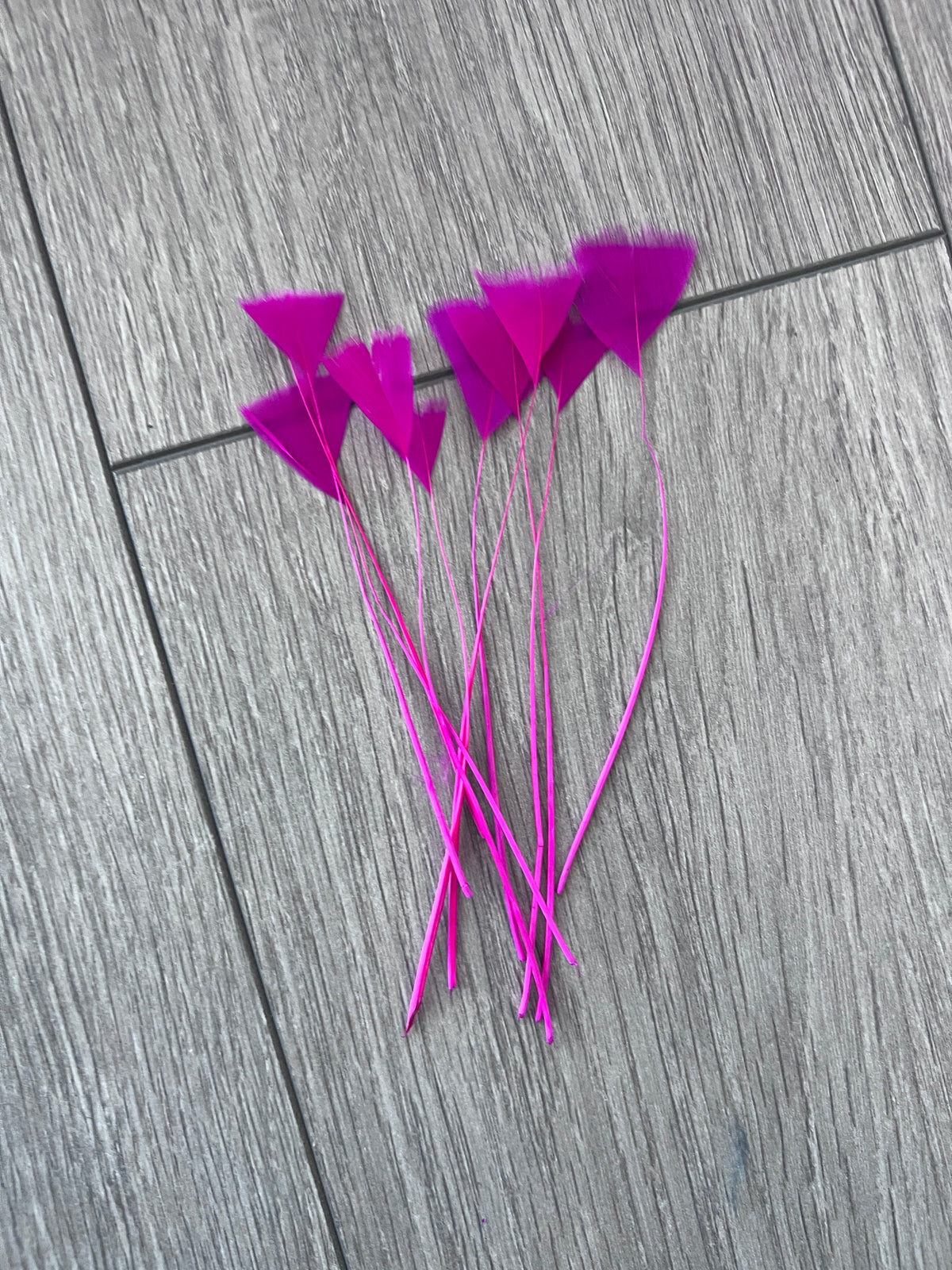 Fuchsia Long Triangle Goose Feathers  x10