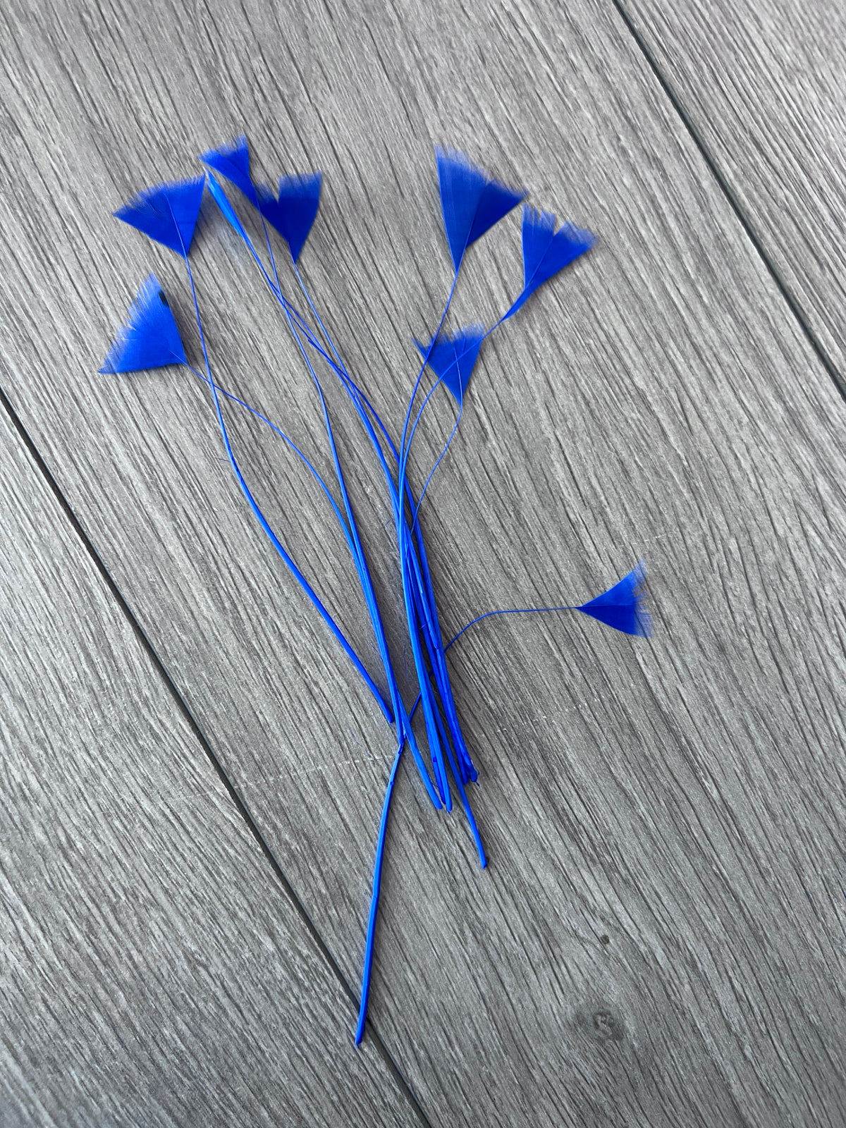 Cobalt Blue Long Triangle Goose Feathers  x10