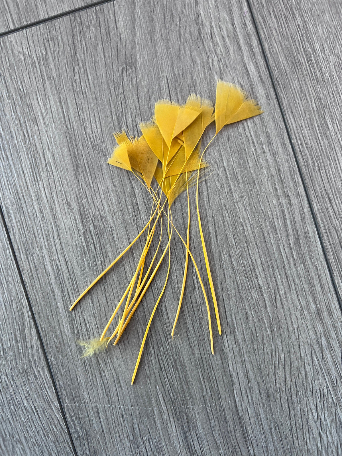 Mustard Long Triangle Goose Feathers  x10