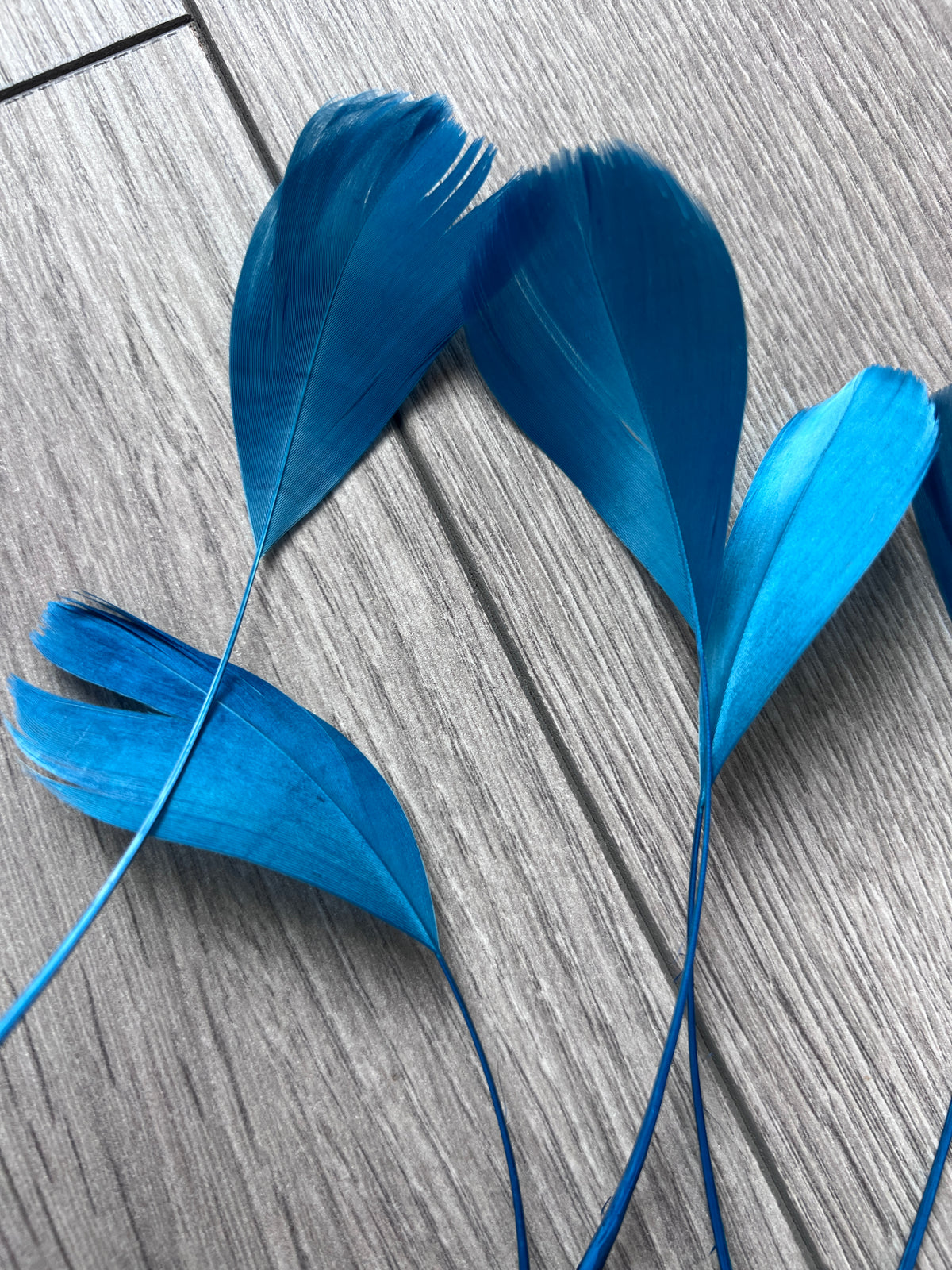 Airforce Blue Long Coque Feathers x5-Fascinators Direct