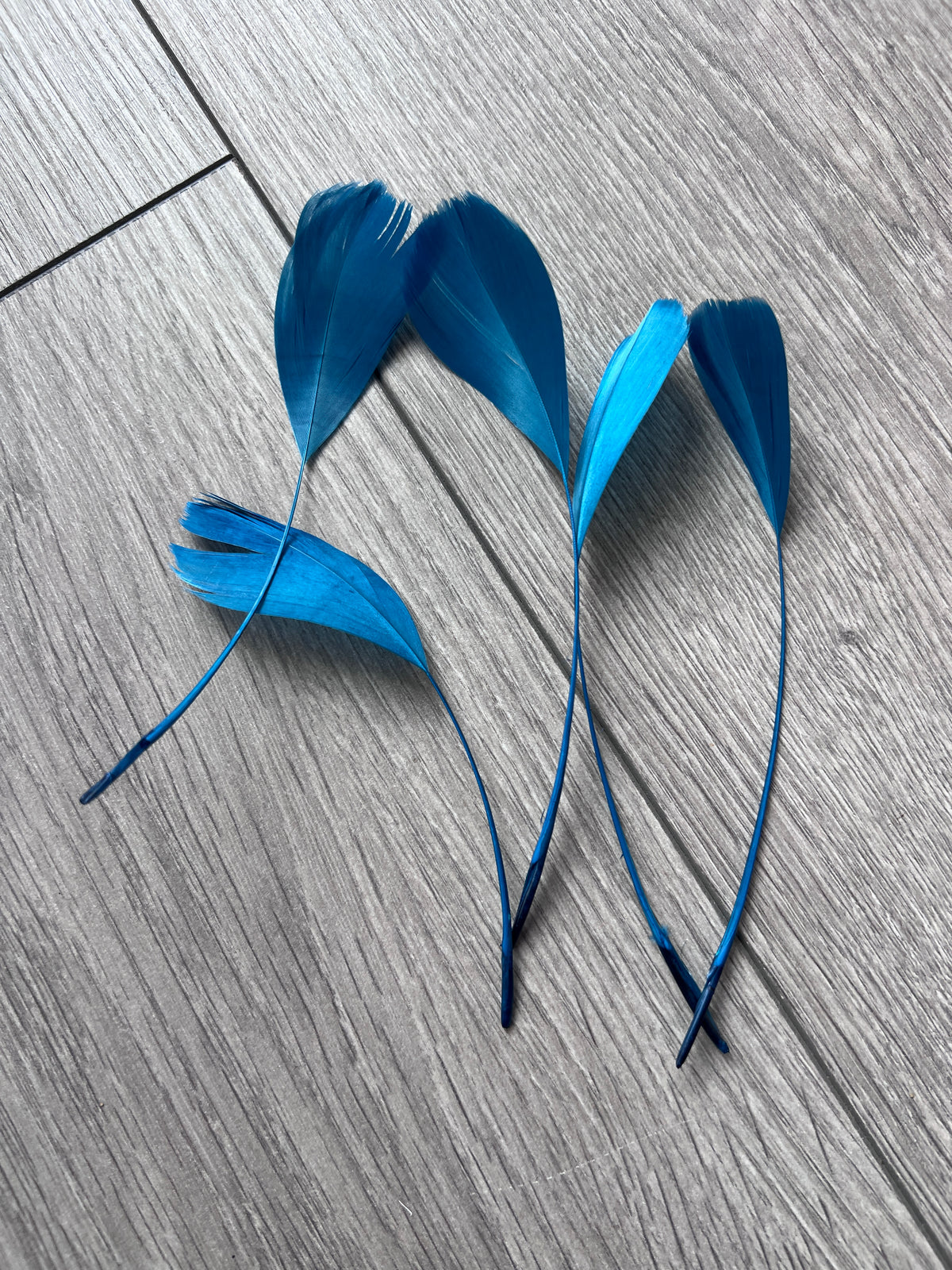 Airforce Blue Long Coque Feathers x5-Fascinators Direct