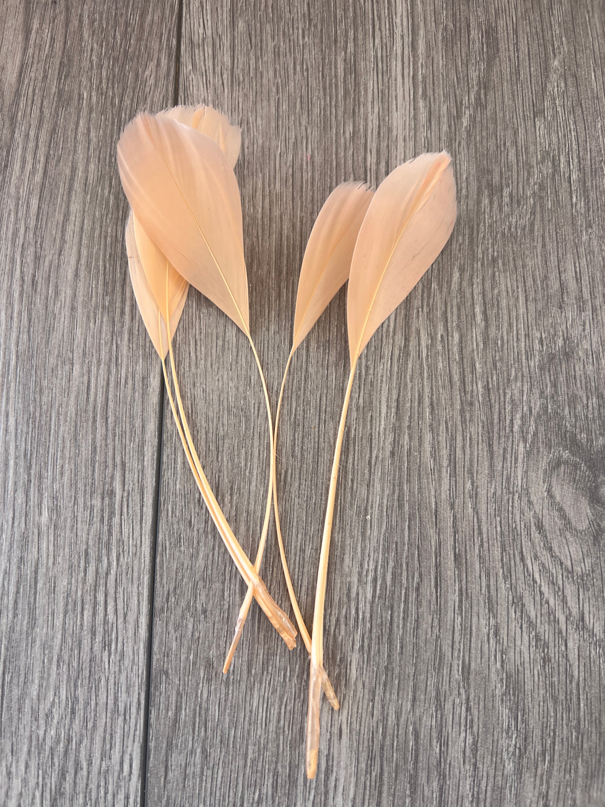 Apricot Long Coque Feathers x5-Fascinators Direct