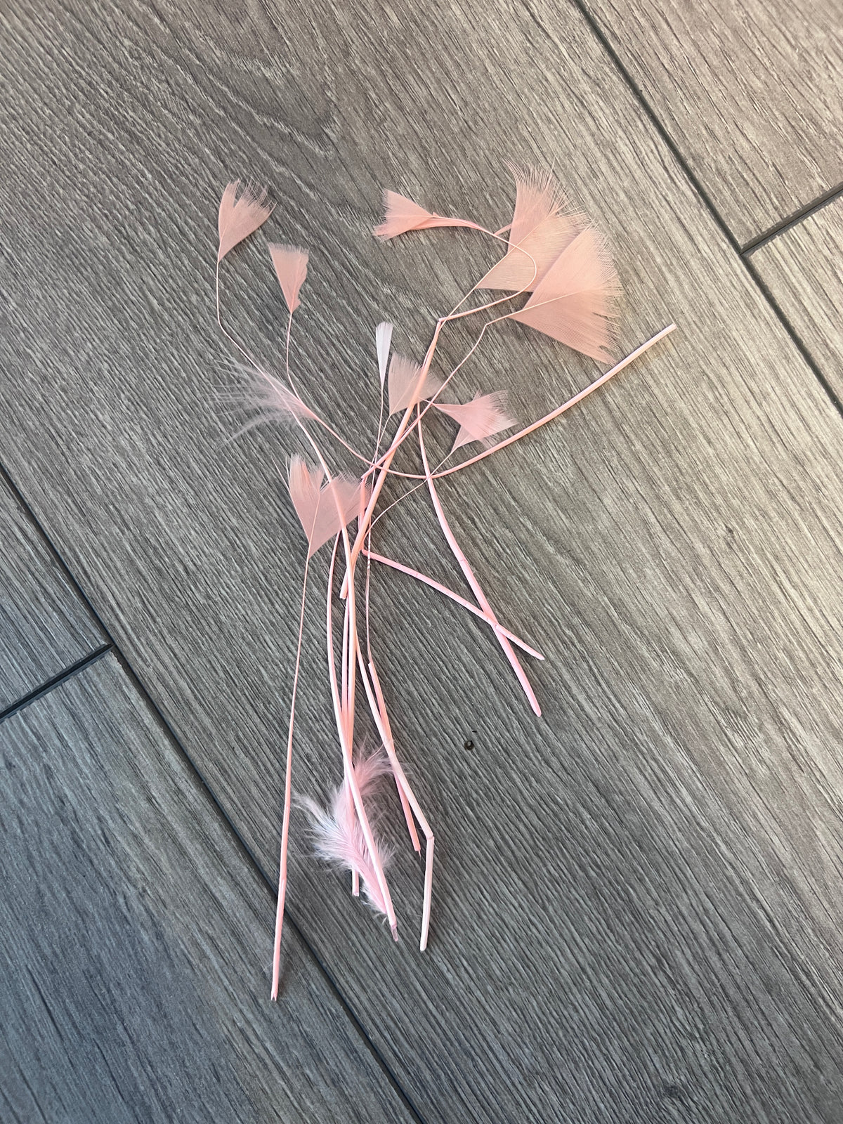 Apricot Long Triangle Goose Feathers x10-Fascinators Direct