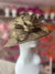 Short Brim Olive Occasion Hat