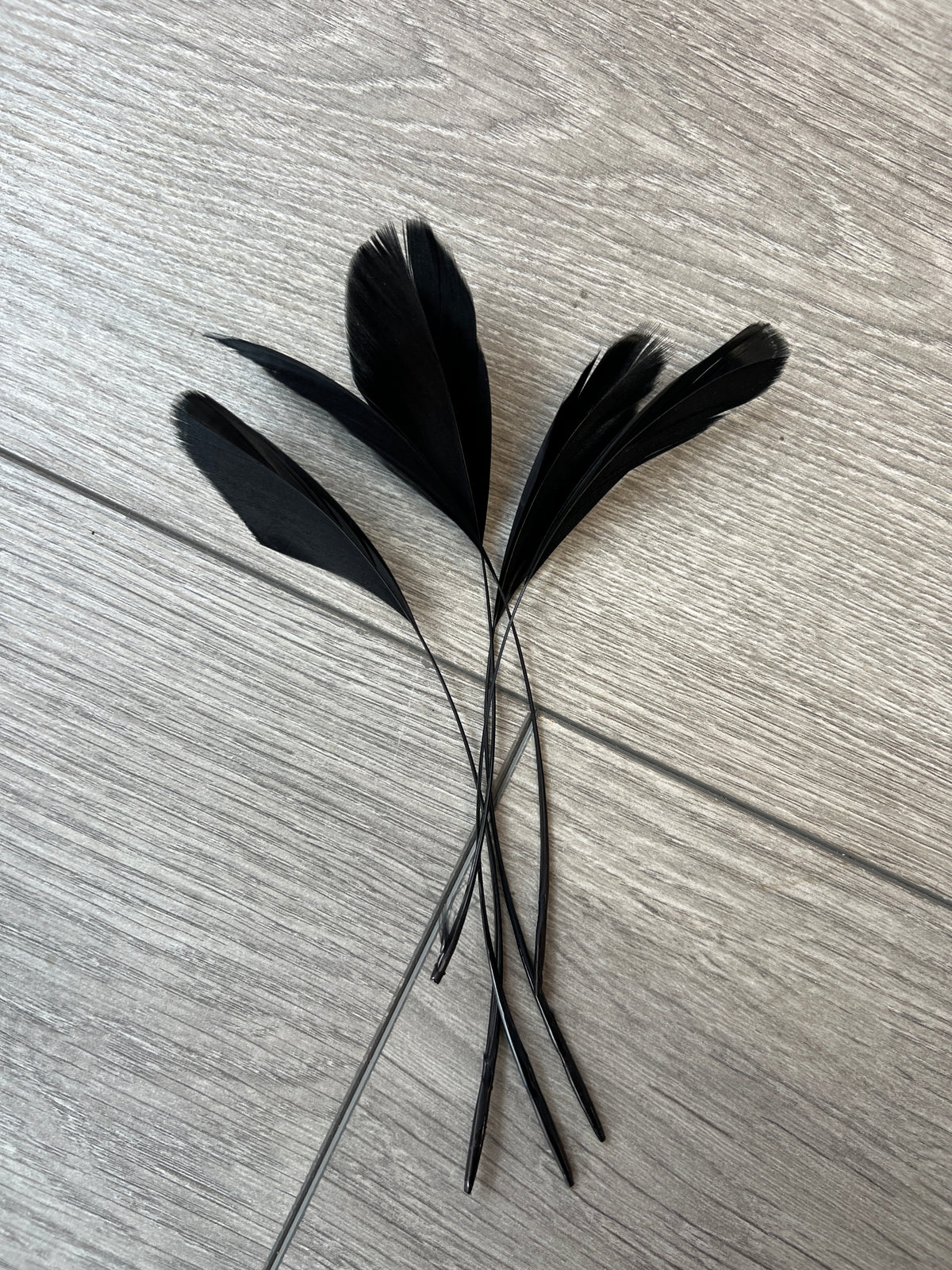 Black Long Coque Feathers x5-Fascinators Direct