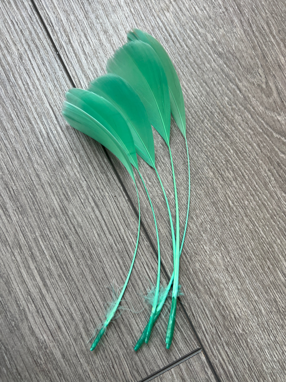 Blue Long Coque Feathers x5-Fascinators Direct