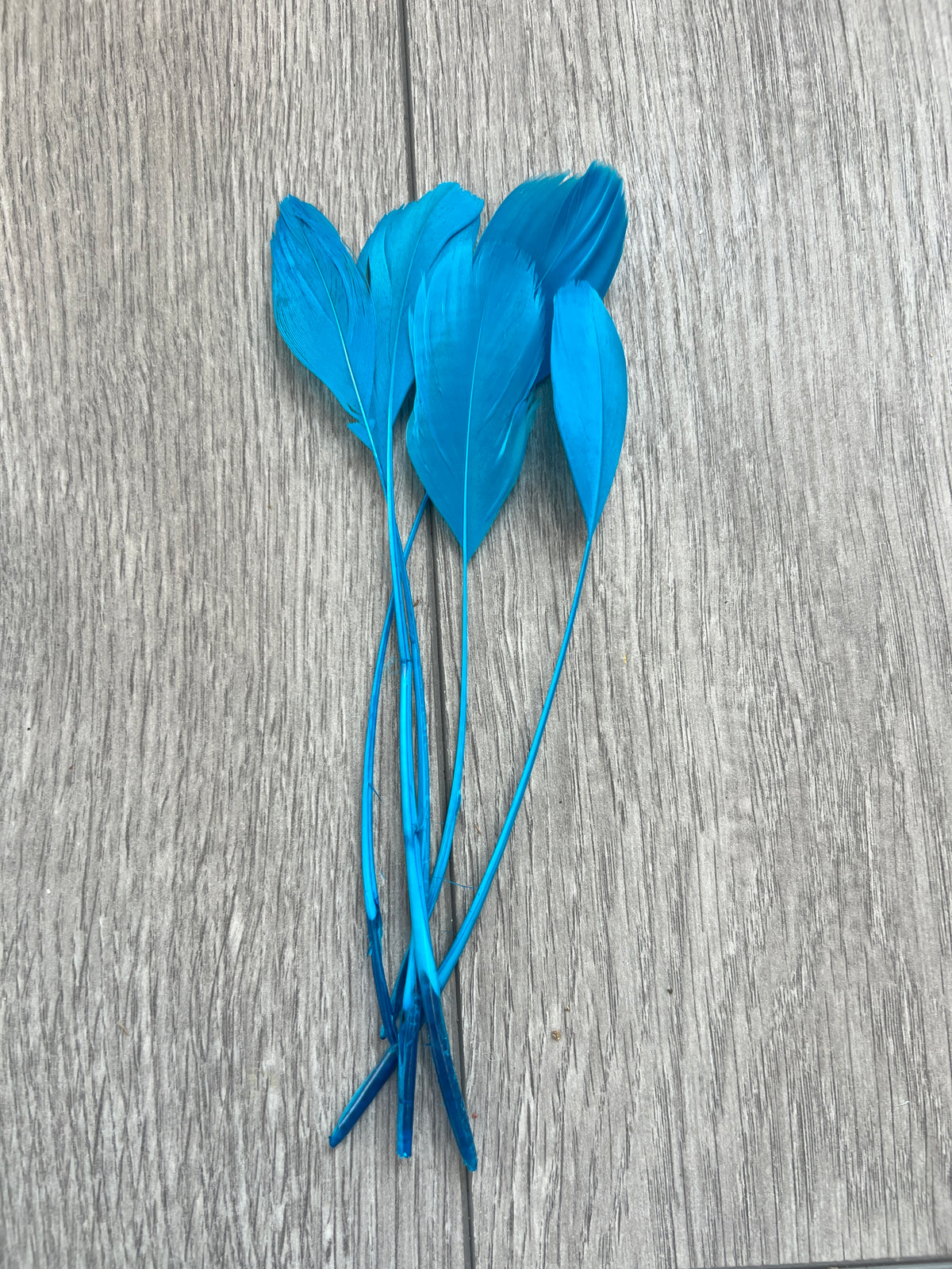 Blue Long Coque Feathers x5-Fascinators Direct