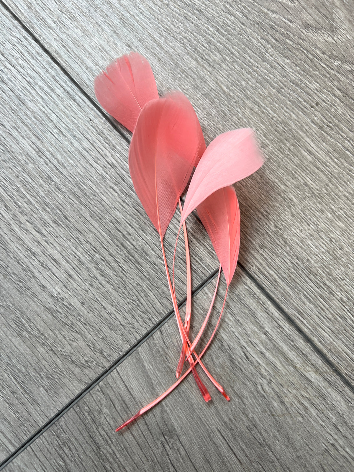 Blush Pink Long Coque Feathers x5-Fascinators Direct