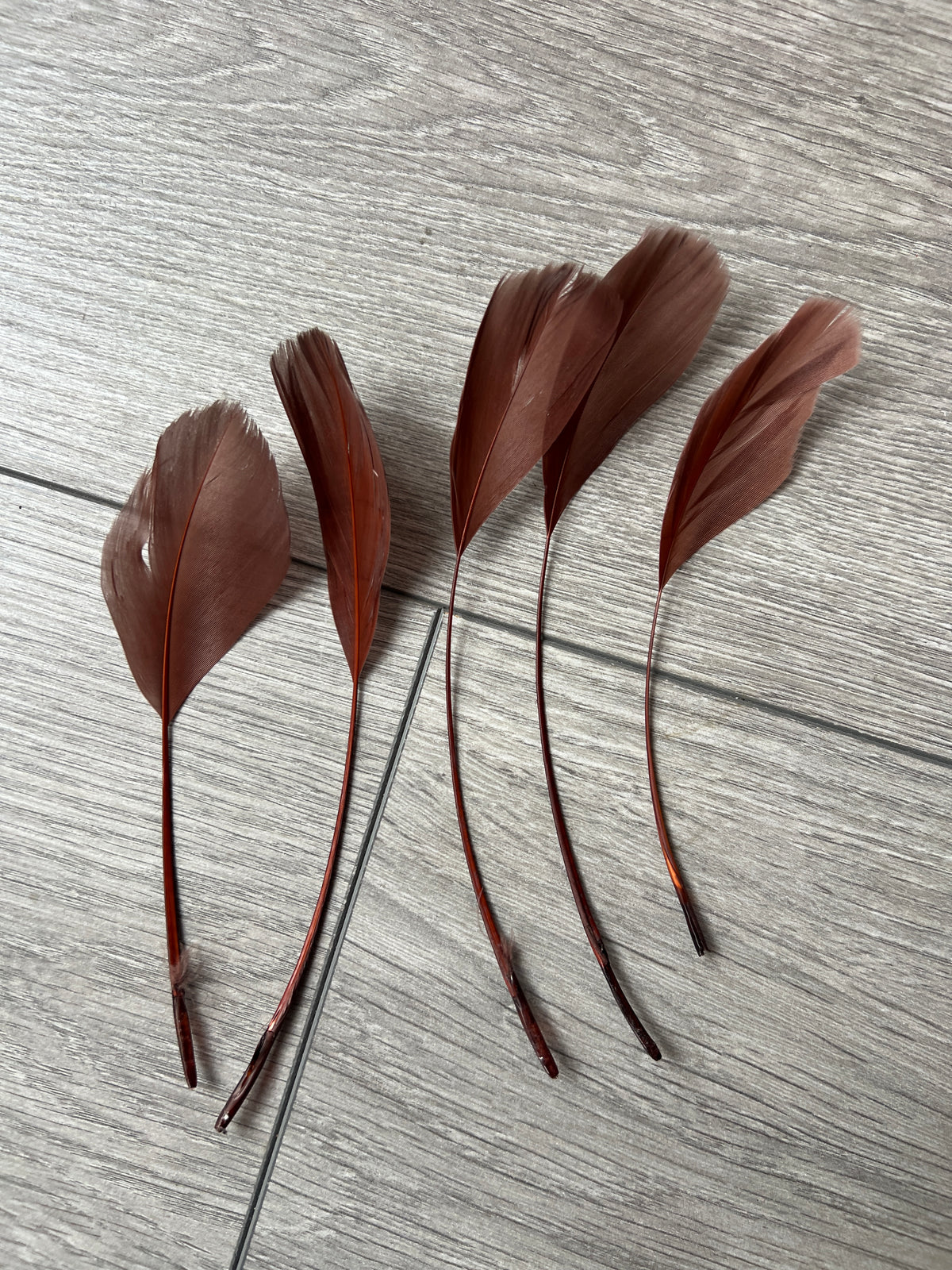 Brown Long Coque Feathers x5-Fascinators Direct