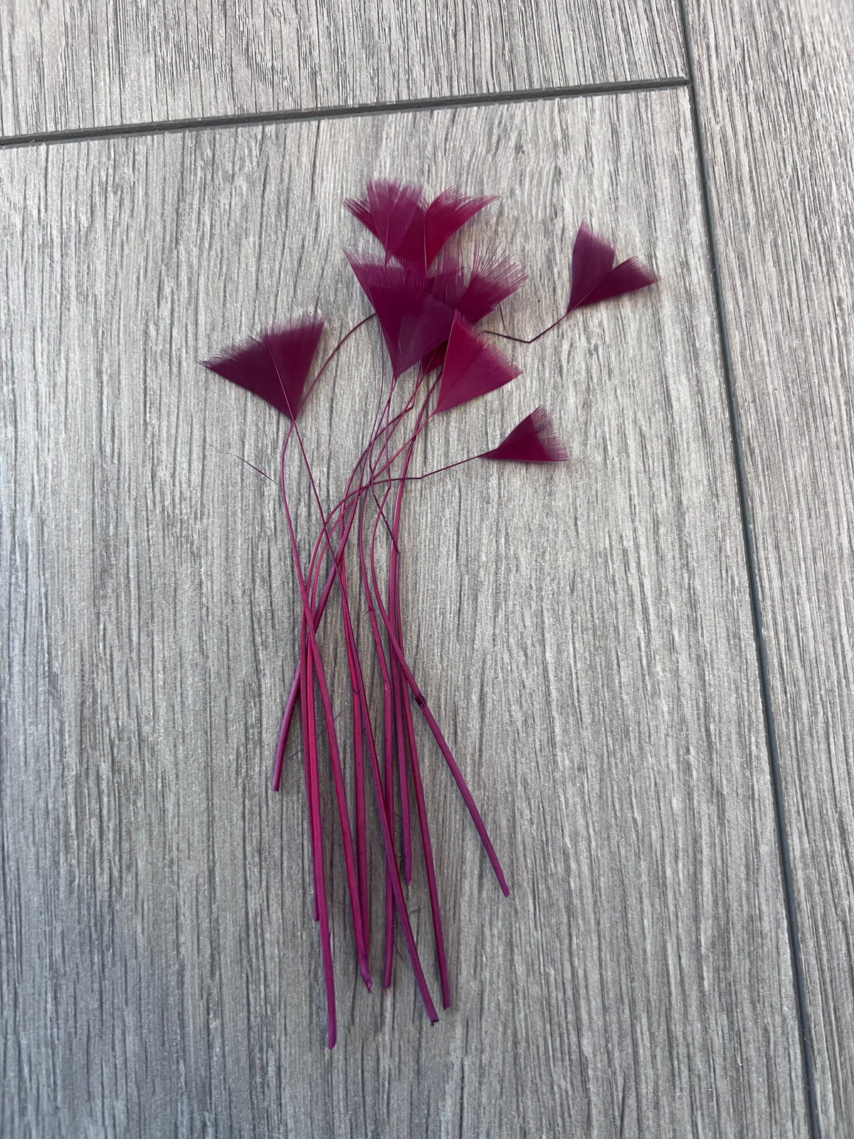 Burgundy Long Triangle Goose Feathers x10-Fascinators Direct