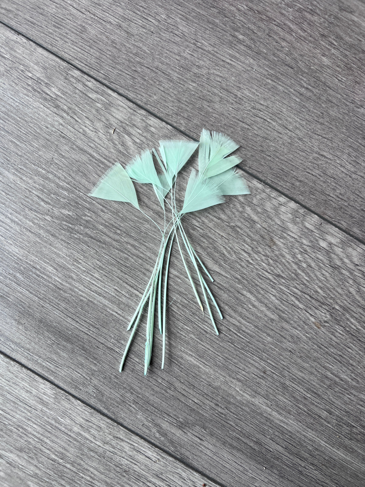 Aqua Long Triangle Goose Feathers  x10