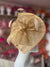 Stylish Metallic Gold Disc Fascinator with Decorative Bow