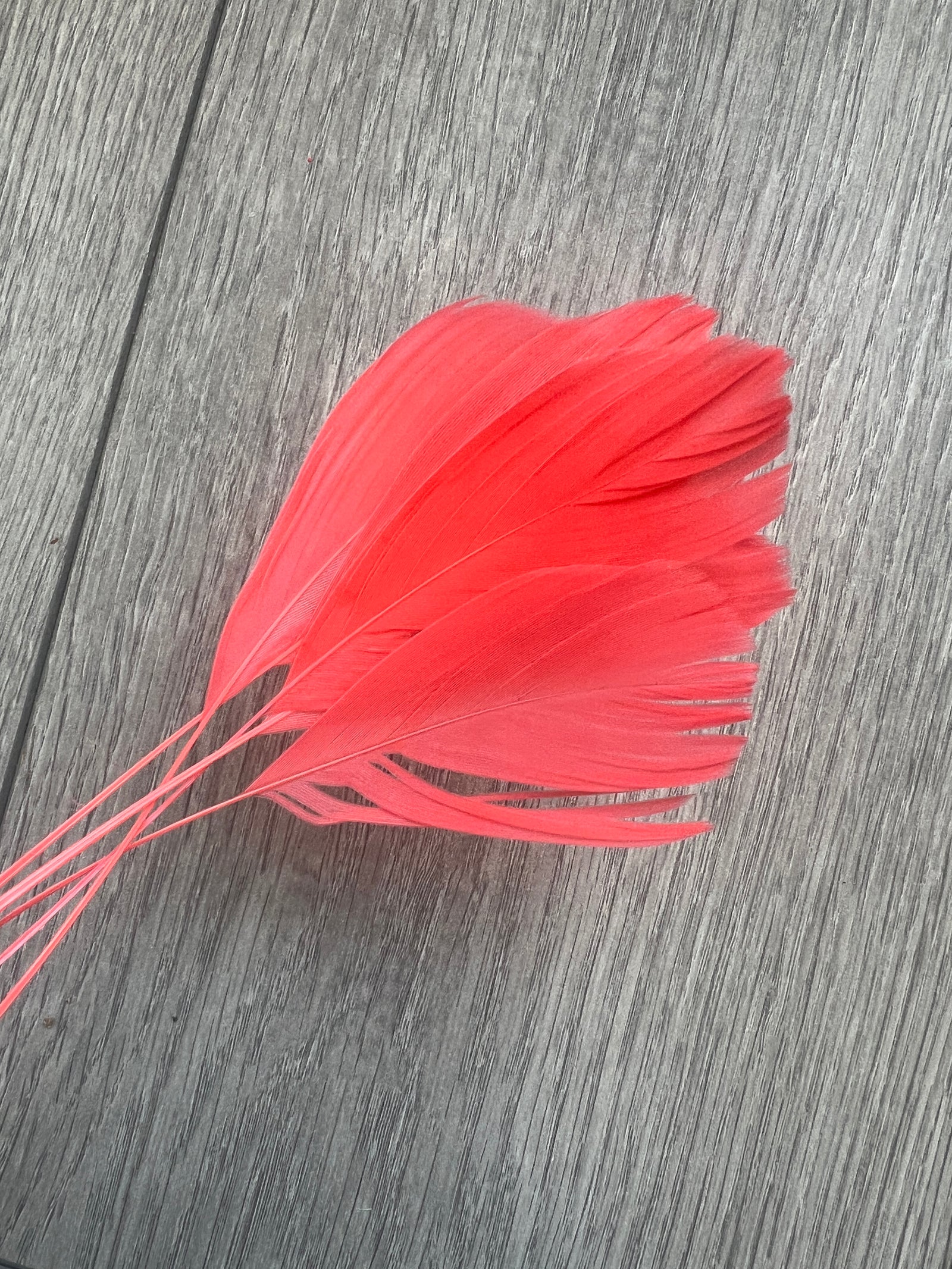 Coral Long Coque Feathers x5-Fascinators Direct