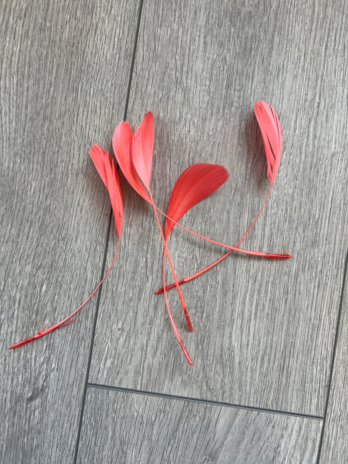 Coral Long Coque Feathers x5-Fascinators Direct