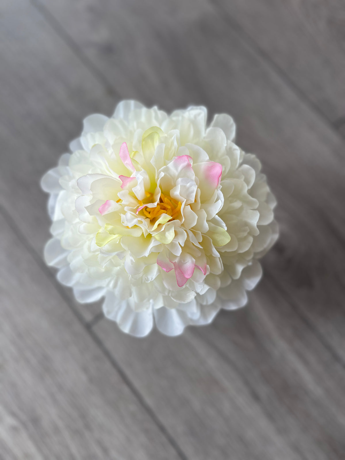 Cream Large Peony Flower Headband-Fascinators Direct