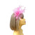 Crinoline Mesh Pink Flower Fascinator Headband-Fascinators Direct