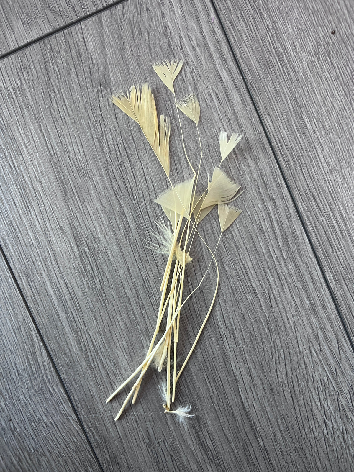 Nude Long Triangle Goose Feathers  x10