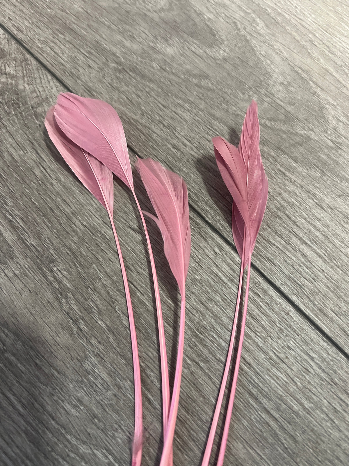 Dusky Pink Long Coque Feathers x5-Fascinators Direct
