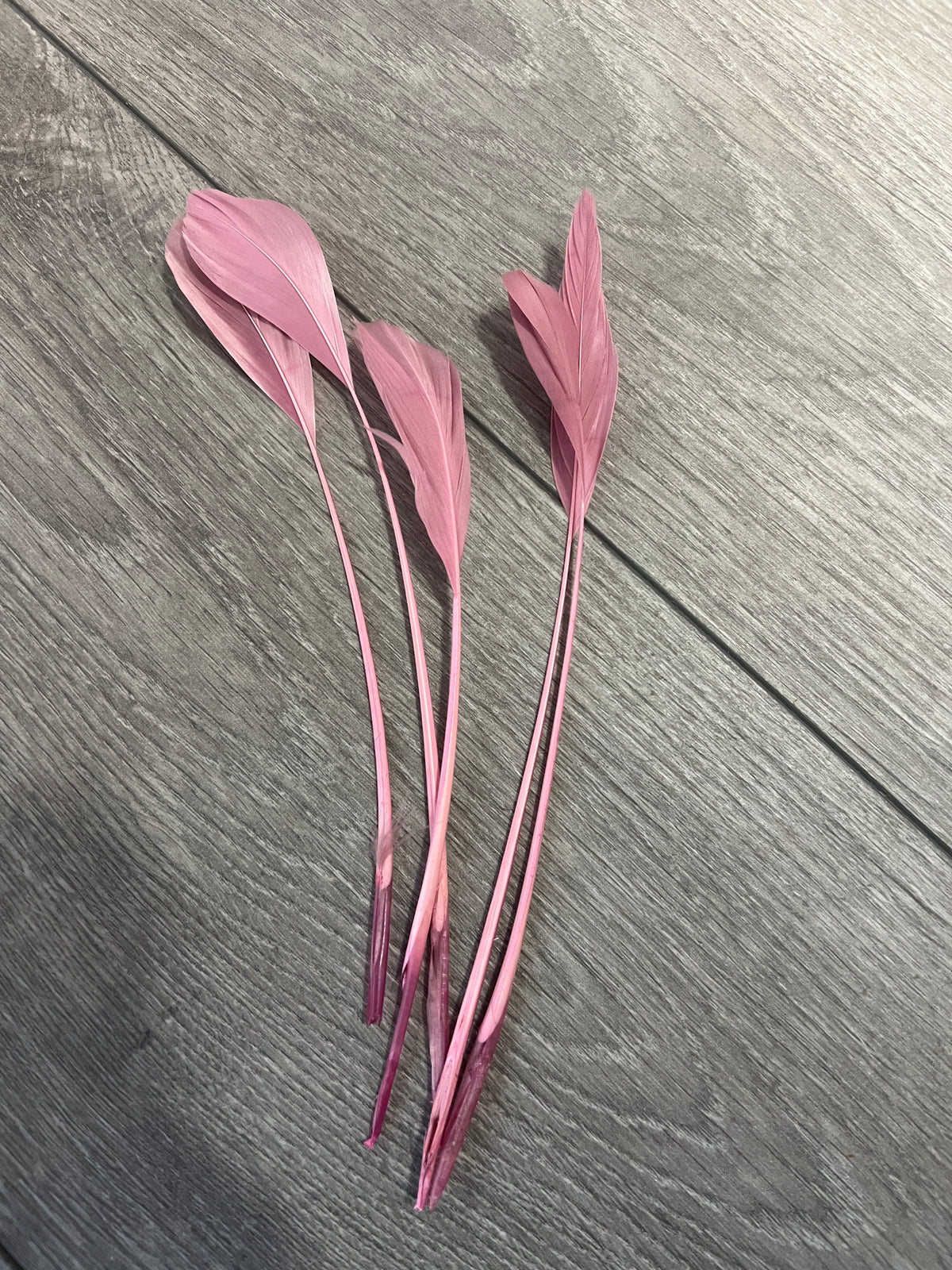 Dusky Pink Long Coque Feathers x5-Fascinators Direct