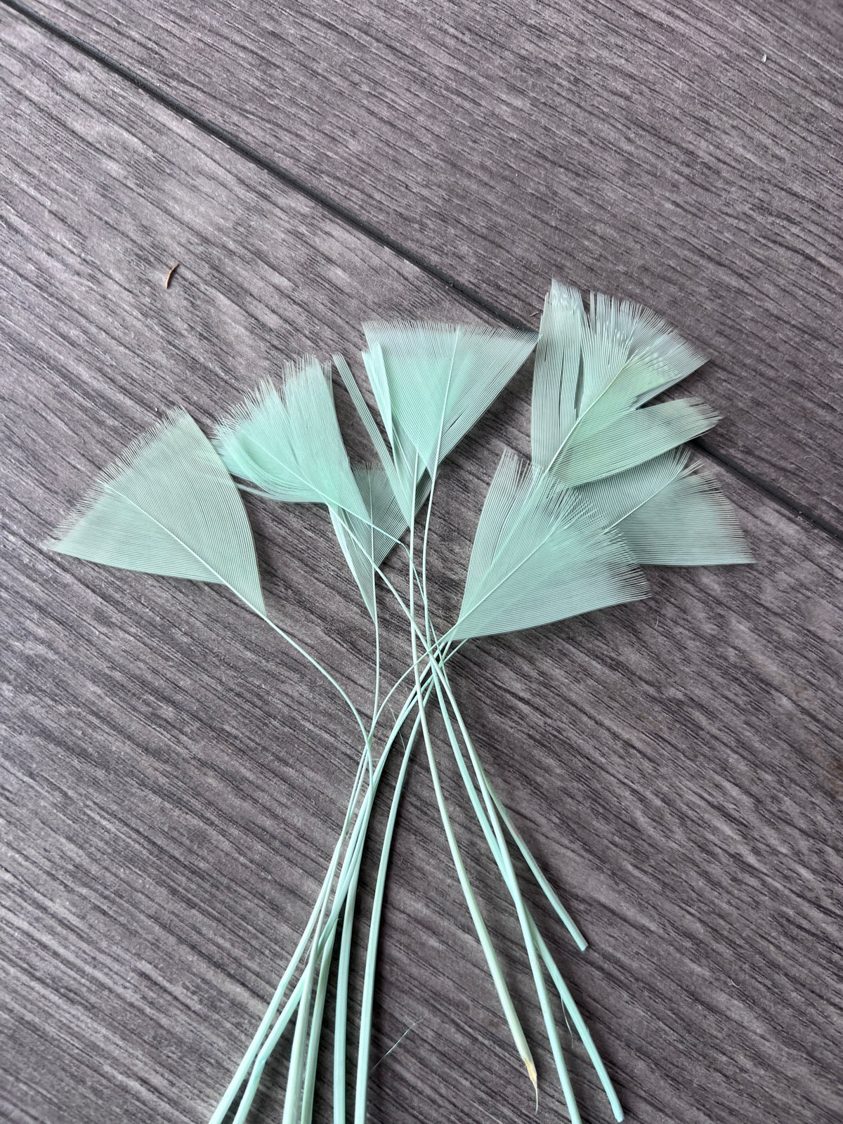 Aqua Long Triangle Goose Feathers  x10
