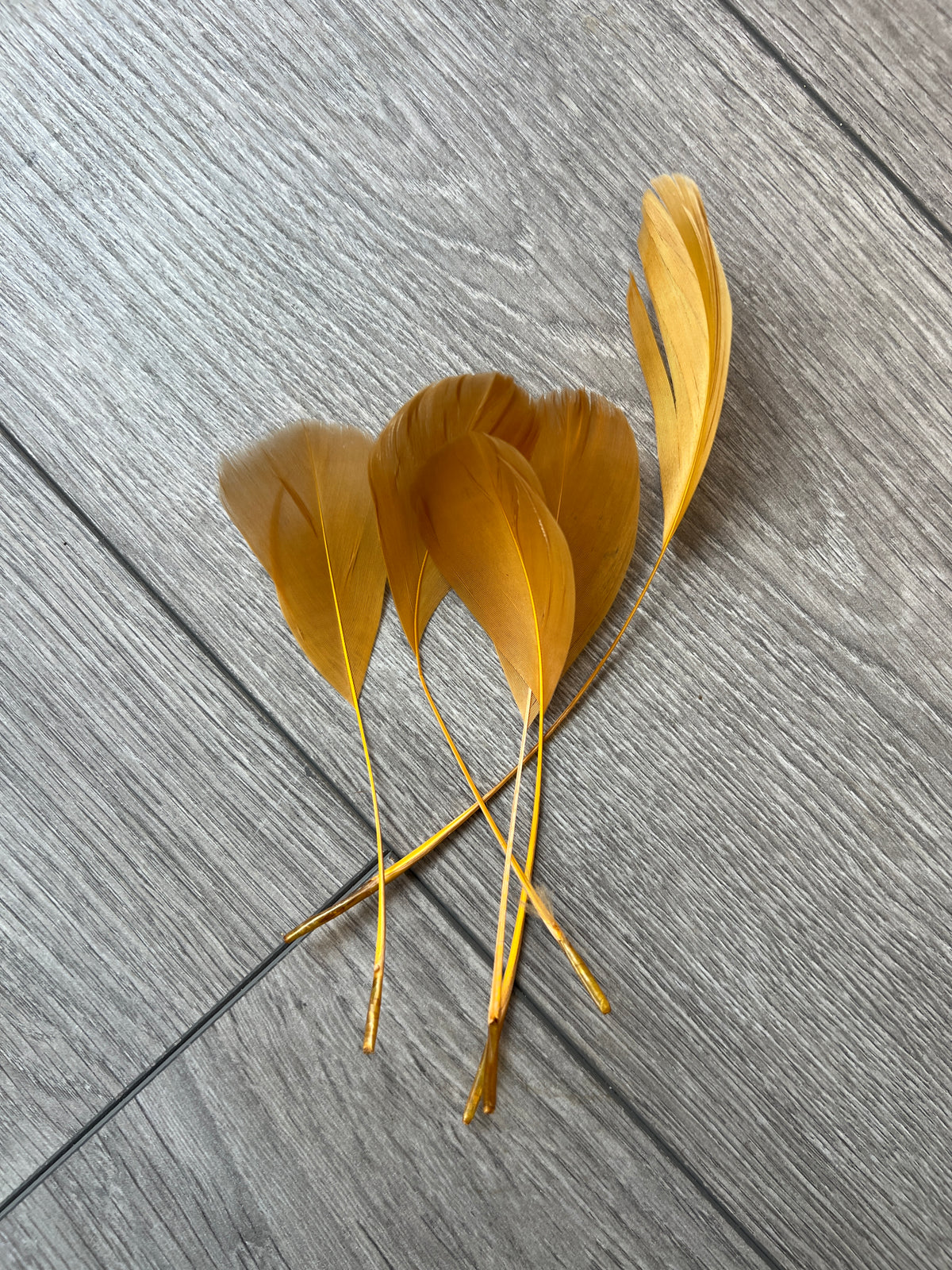 Gold Long Coque Feathers x5-Fascinators Direct