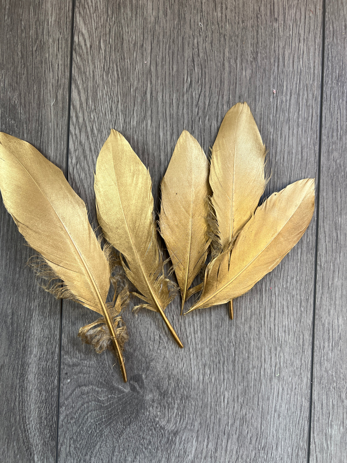 Gold Long Large Feathers x5-Fascinators Direct
