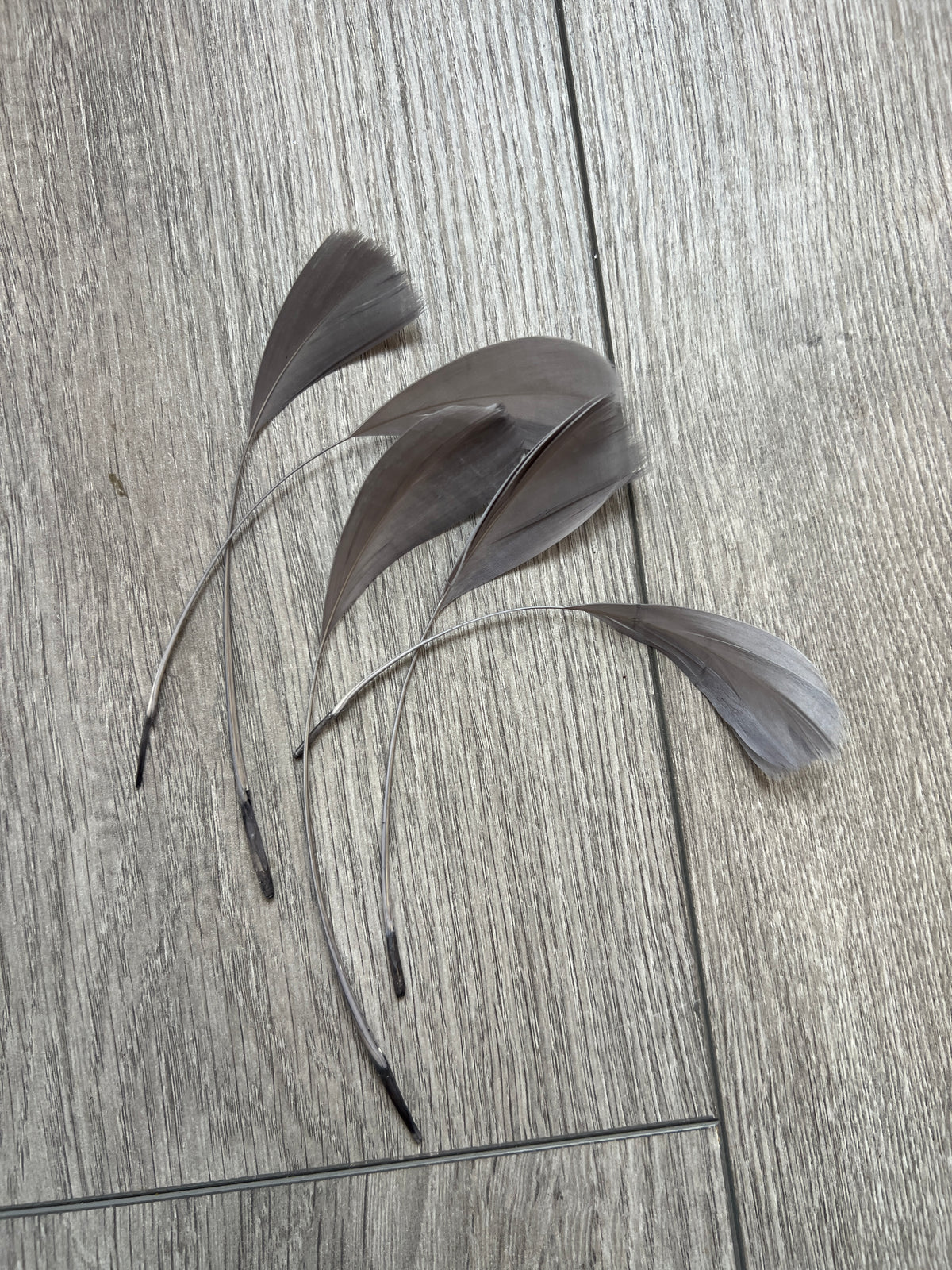 Grey/Silver Long Coque Feathers x5-Fascinators Direct