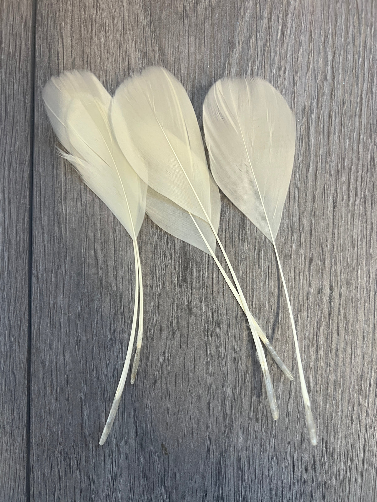 Ivory Long Coque Feathers x5-Fascinators Direct