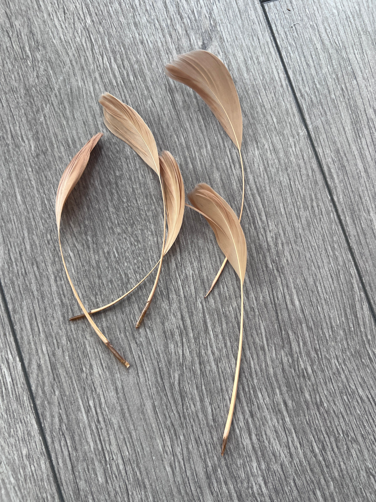 Light Gold Long Coque Feathers x5-Fascinators Direct