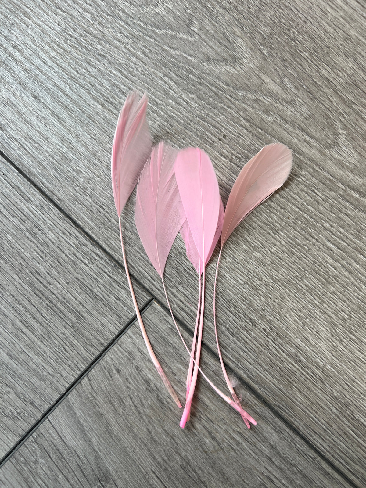 Light Pink Long Coque Feathers x5-Fascinators Direct