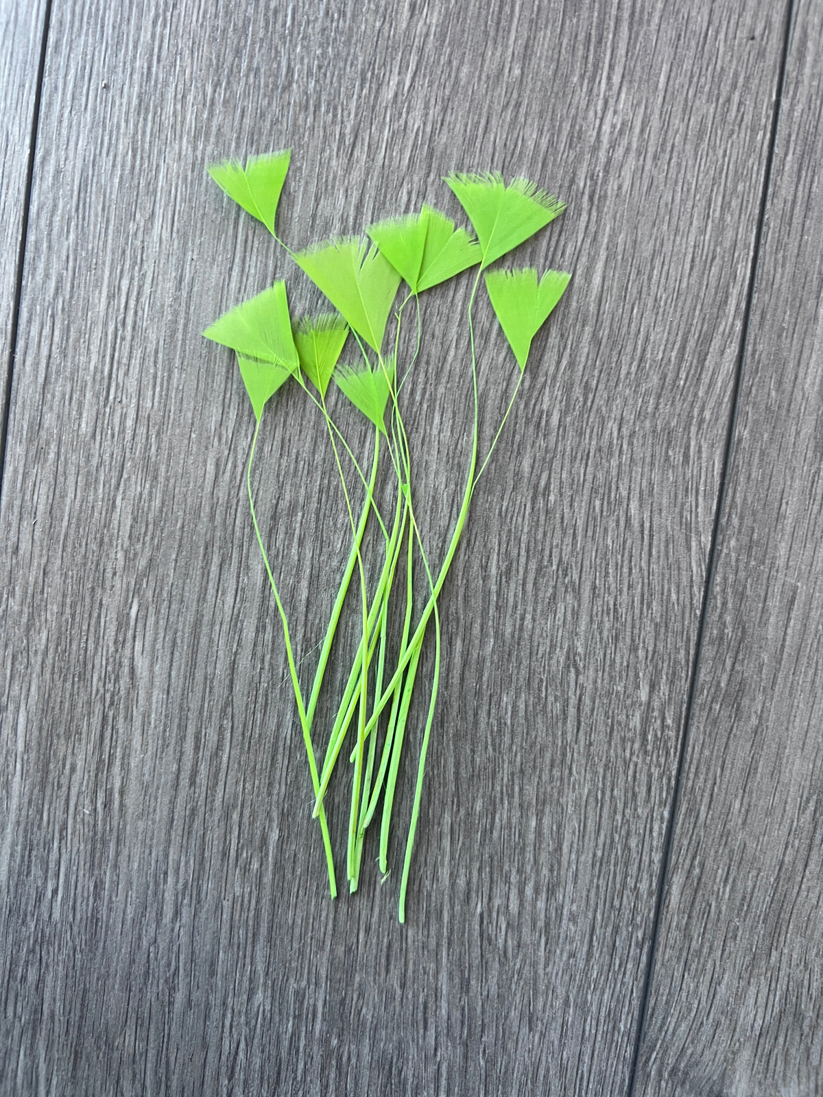 Lime Long Triangle Goose Feathers x10-Fascinators Direct