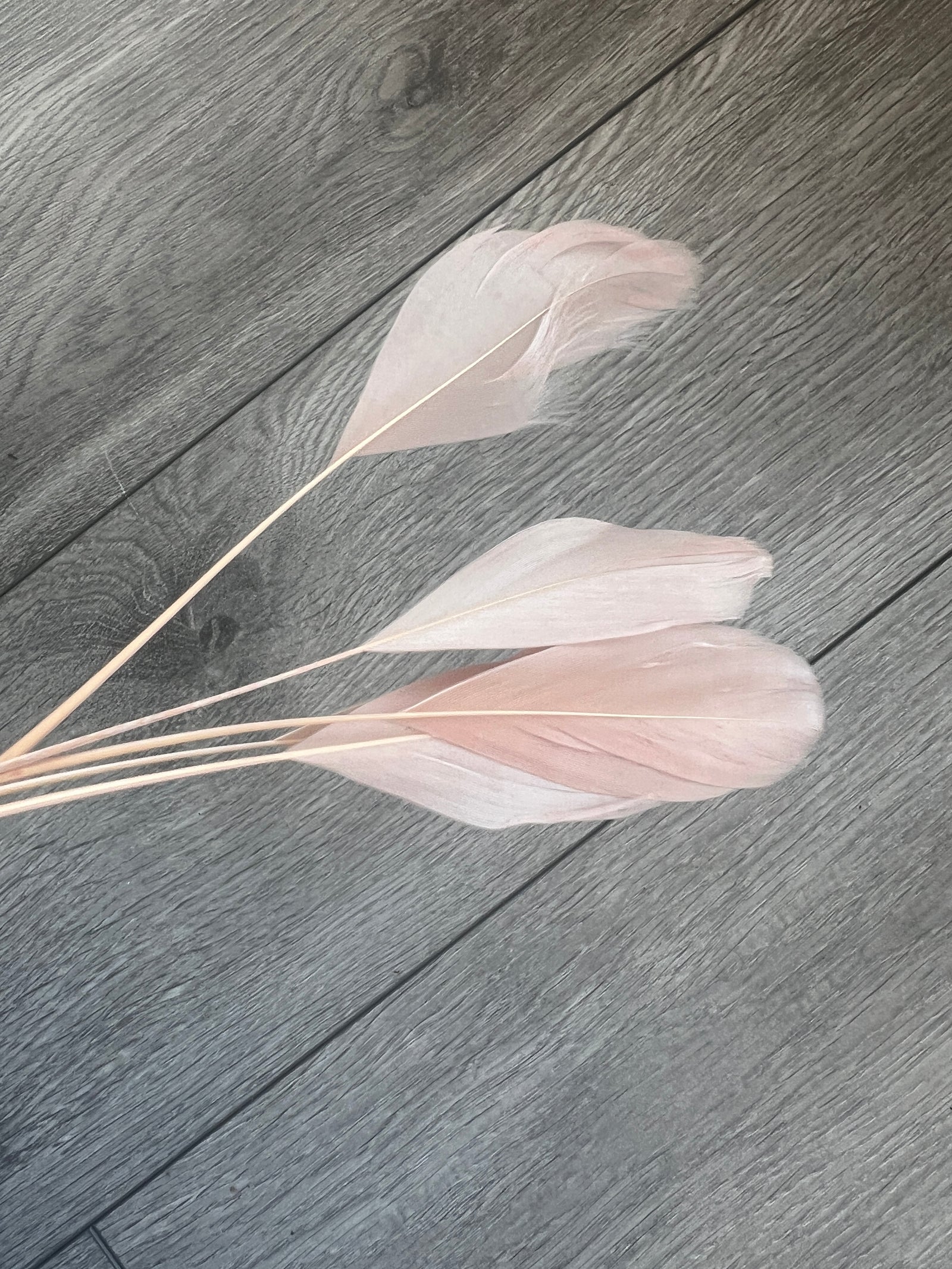 Nude Long Coque Feathers x5-Fascinators Direct