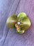 Olive Green Orchid Hair Clip-Fascinators Direct