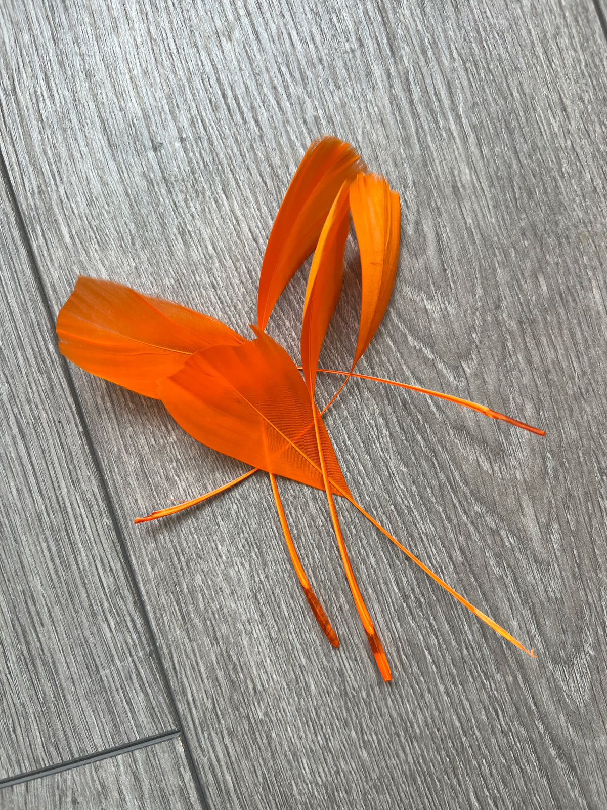 Orange Long Coque Feathers x5-Fascinators Direct
