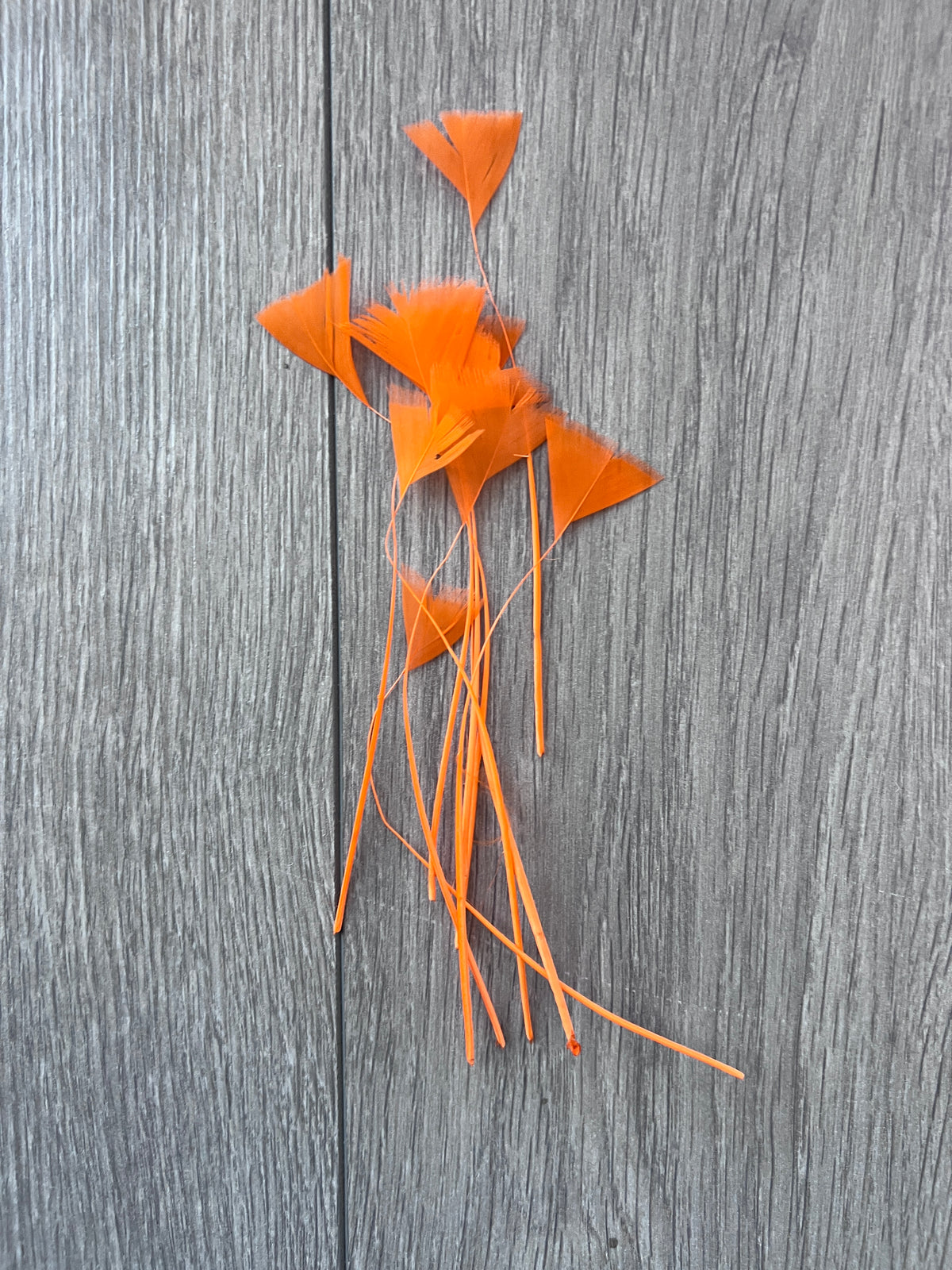Orange Long Triangle Goose Feathers x10-Fascinators Direct