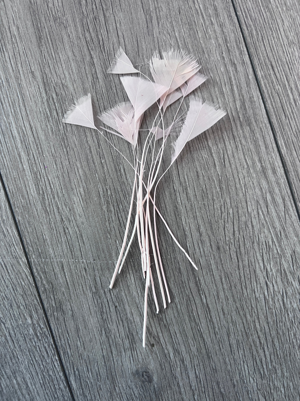 Pale Pink Long Triangle Goose Feathers x10-Fascinators Direct