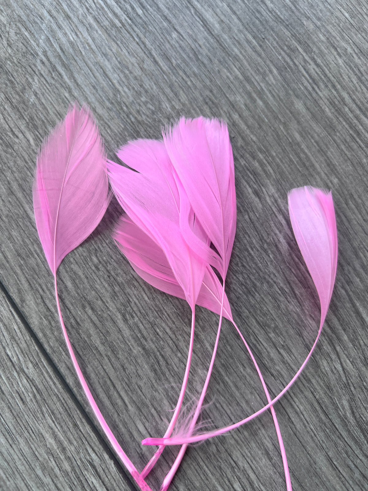 Pink Long Coque Feathers x5-Fascinators Direct