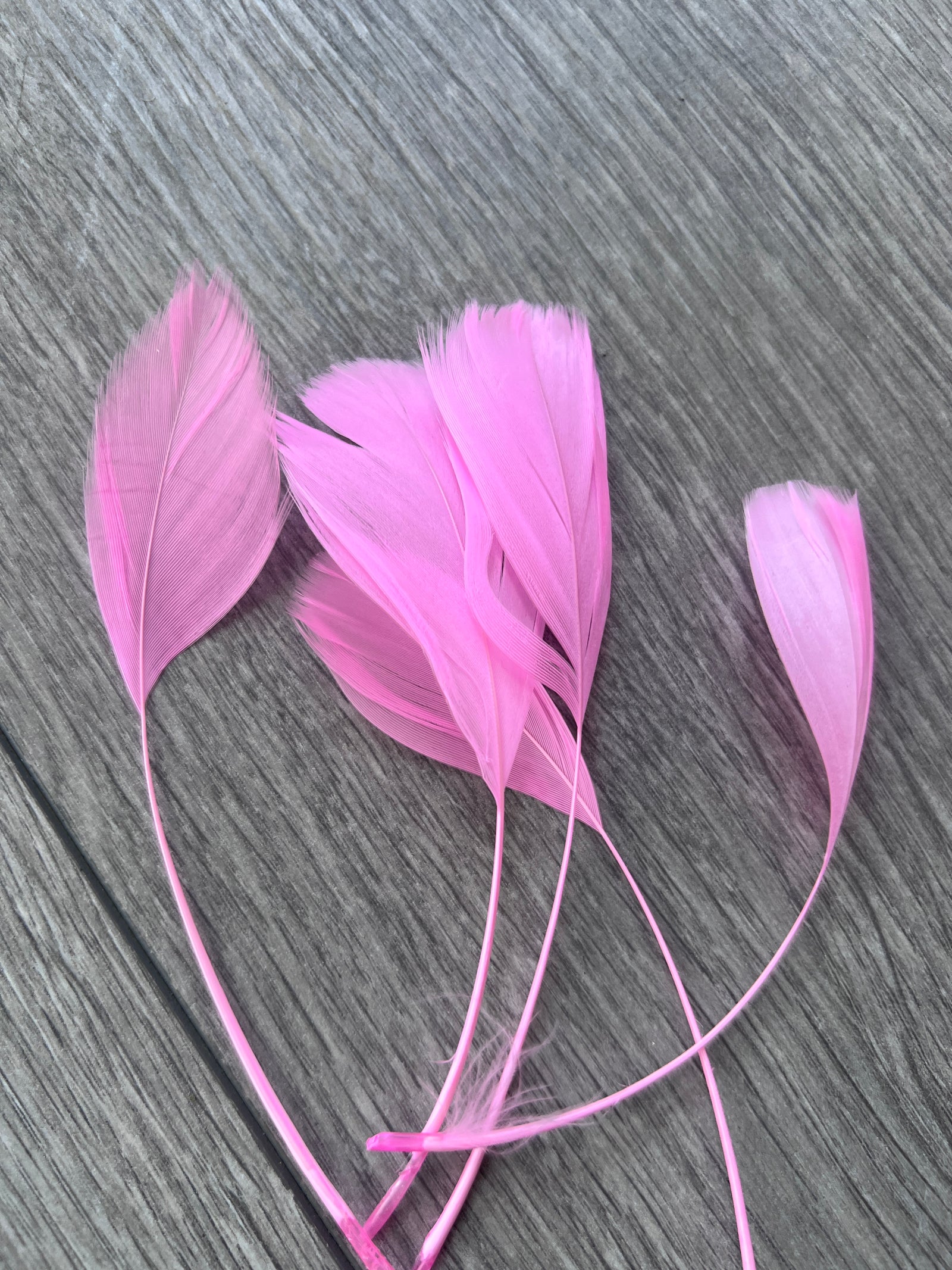 Pink Long Coque Feathers x5-Fascinators Direct