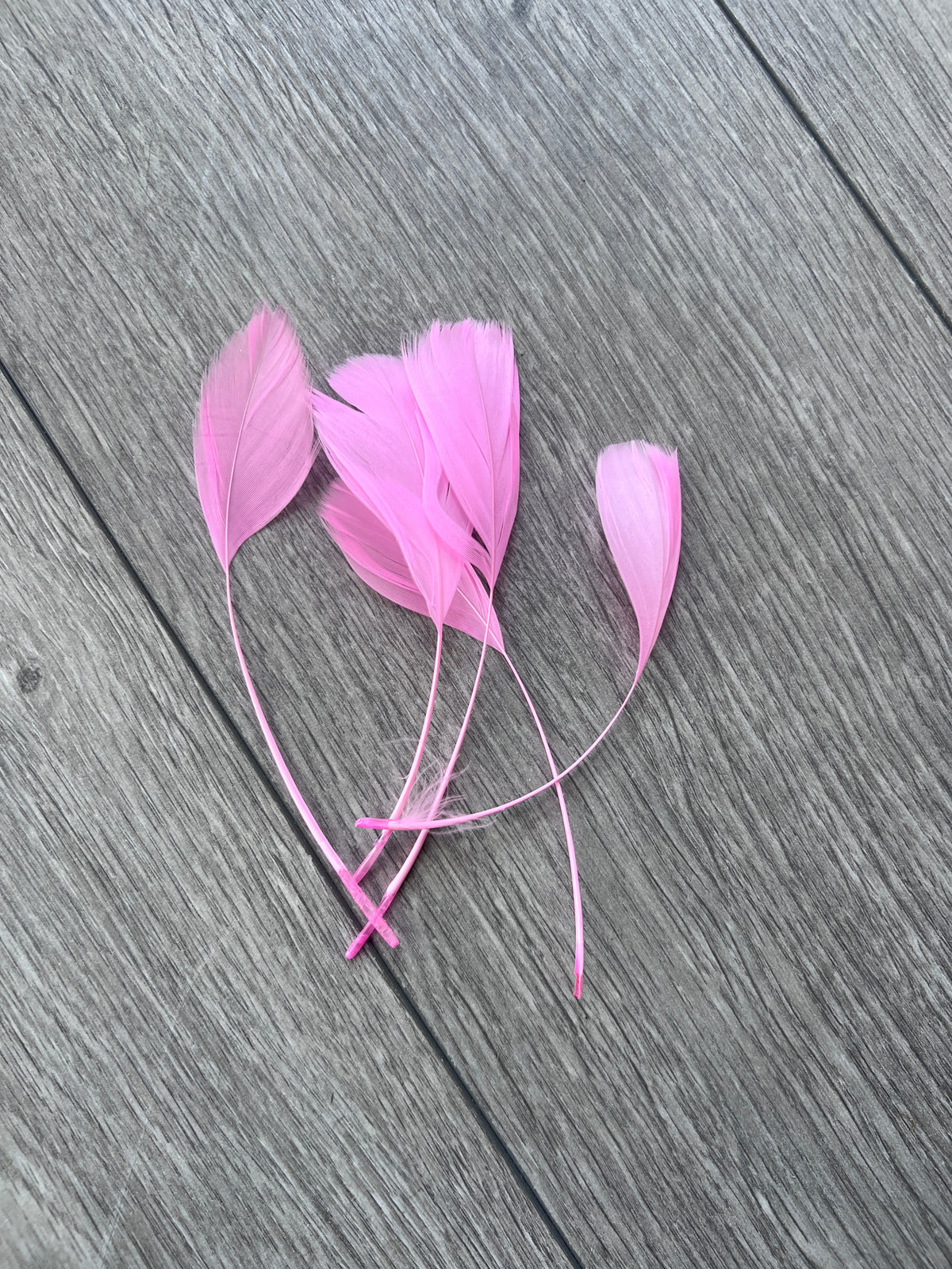 Pink Long Coque Feathers x5-Fascinators Direct