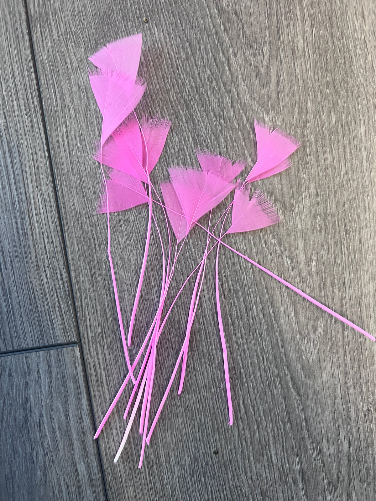 Pink Long Triangle Goose Feathers x10-Fascinators Direct