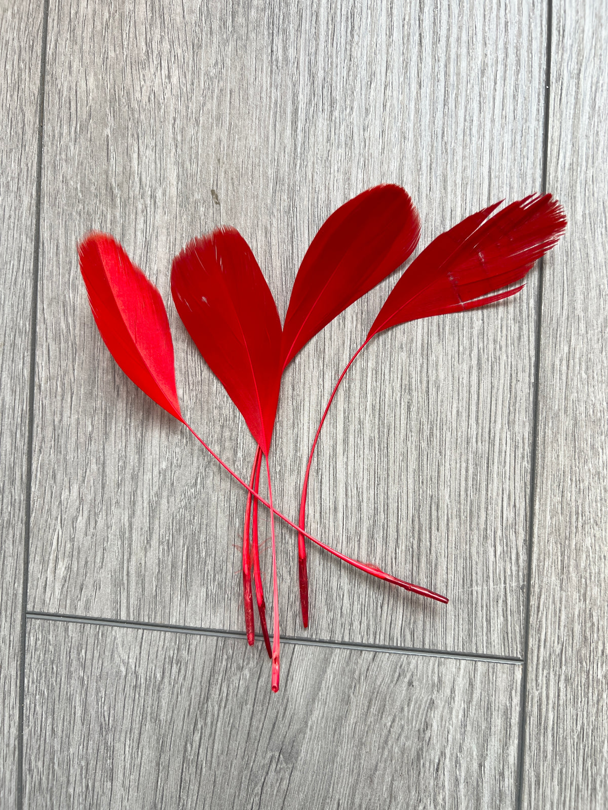 Red Long Coque Feathers x5-Fascinators Direct