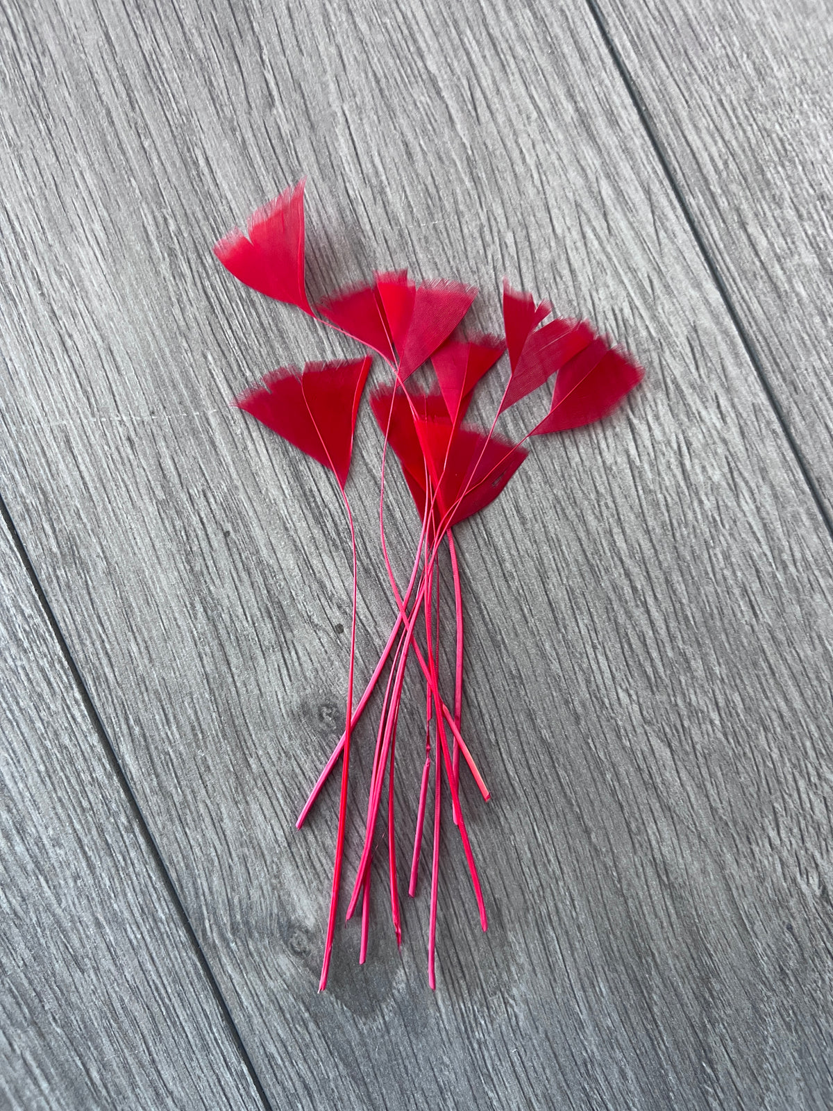 Red Long Triangle Goose Feathers x10-Fascinators Direct