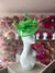 SPRING GREEN FASCINATOR WITH RUCHED SINAMAY & LOOPS-Fascinators Direct