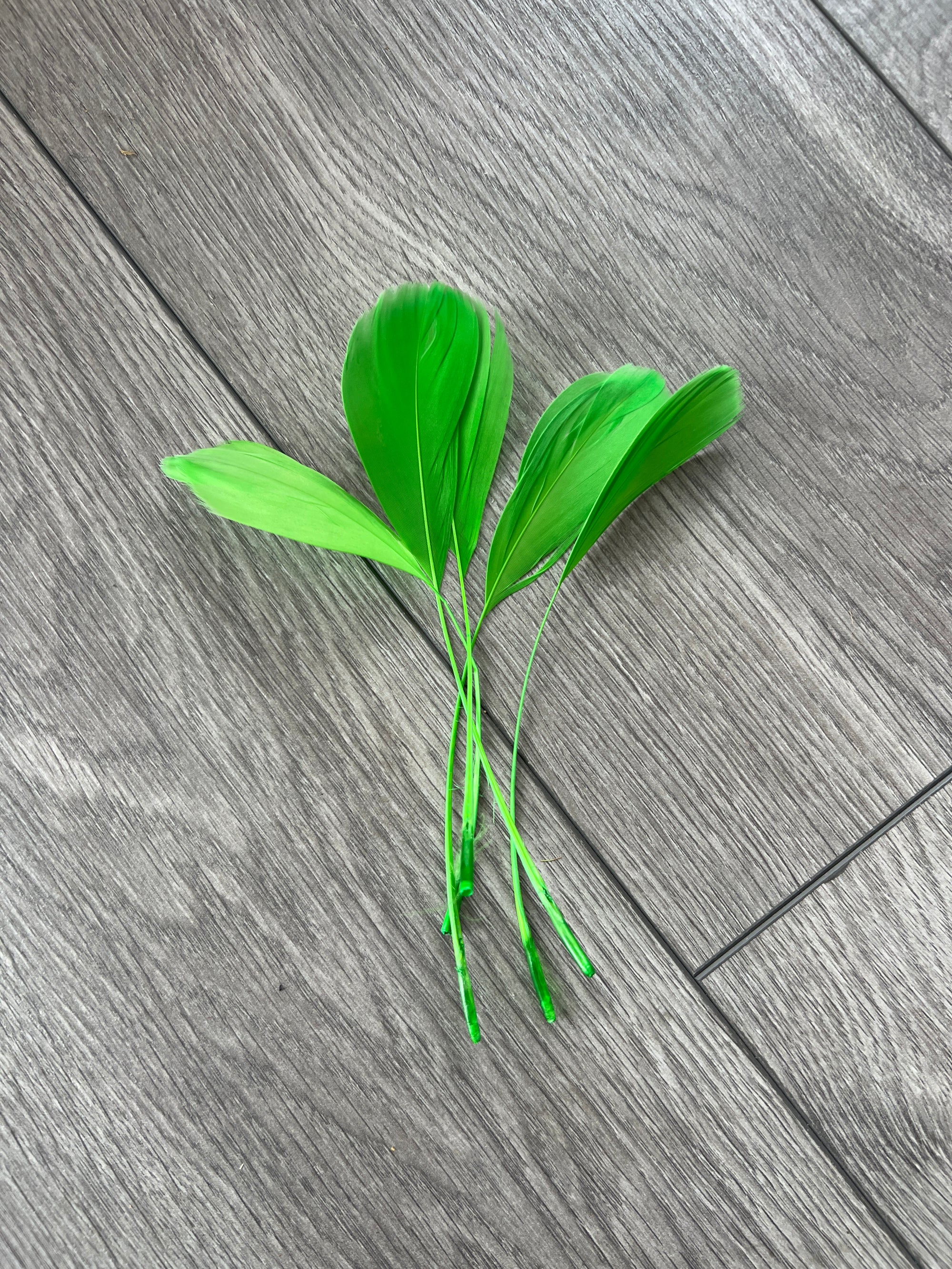 Spring Green Long Coque Feathers x5-Fascinators Direct