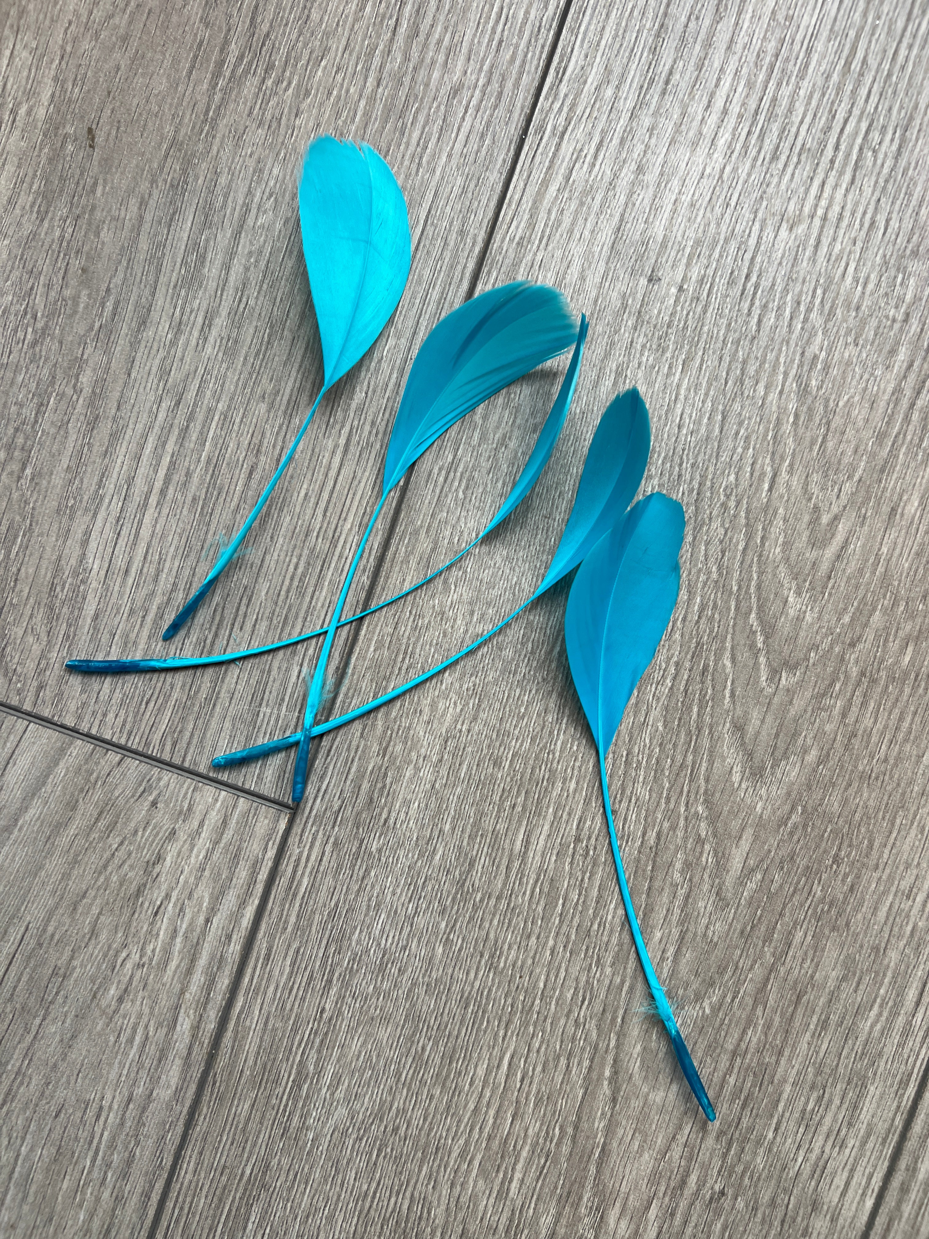 Turquoise Blue Long Coque Feathers x5
