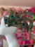 Vintage Style Large Peacock Feather Fascinator-Fascinators Direct